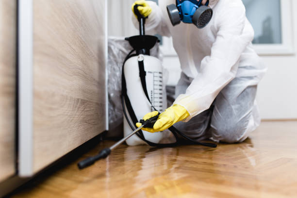 Pest Control Cost in Murrells Inlet, SC