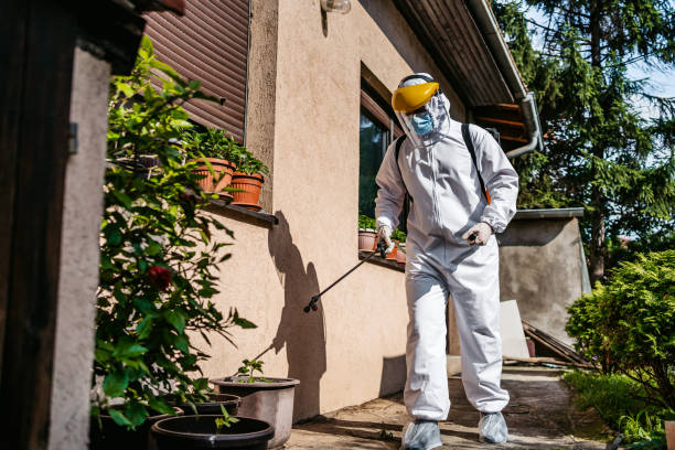 Flea Control Services in Murrells Inlet, SC