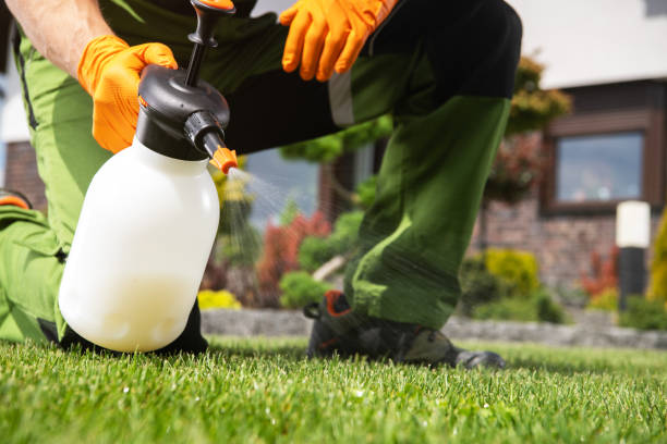 Professional Pest Control in Murrells Inlet, SC