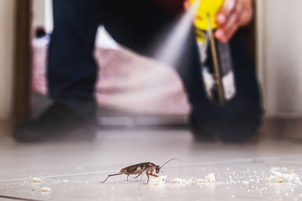 Pest Control Cost in Murrells Inlet, SC