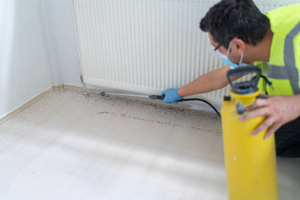Best Pest Inspection Near Me  in Murrells Inlet, SC